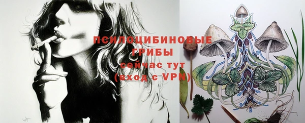 винт Осташков