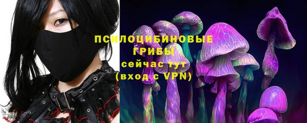винт Осташков